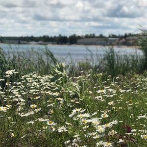 Meet your Posher, The Sparkly Closet ✨